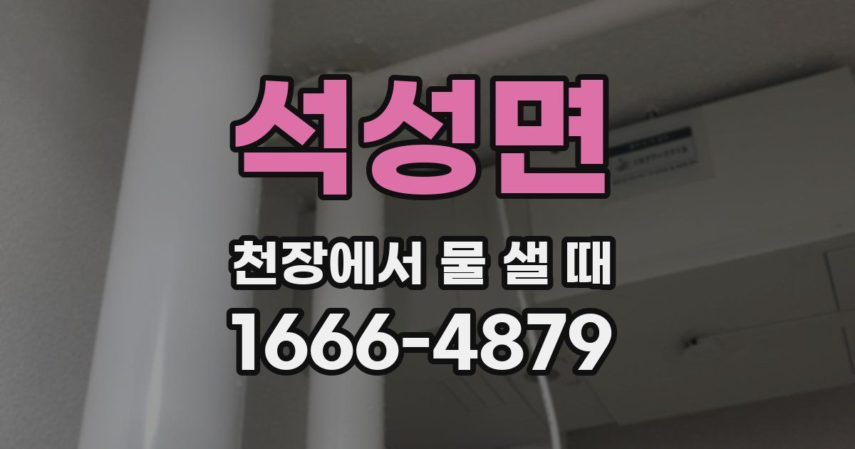 석성면 천장에서 물 샐 때