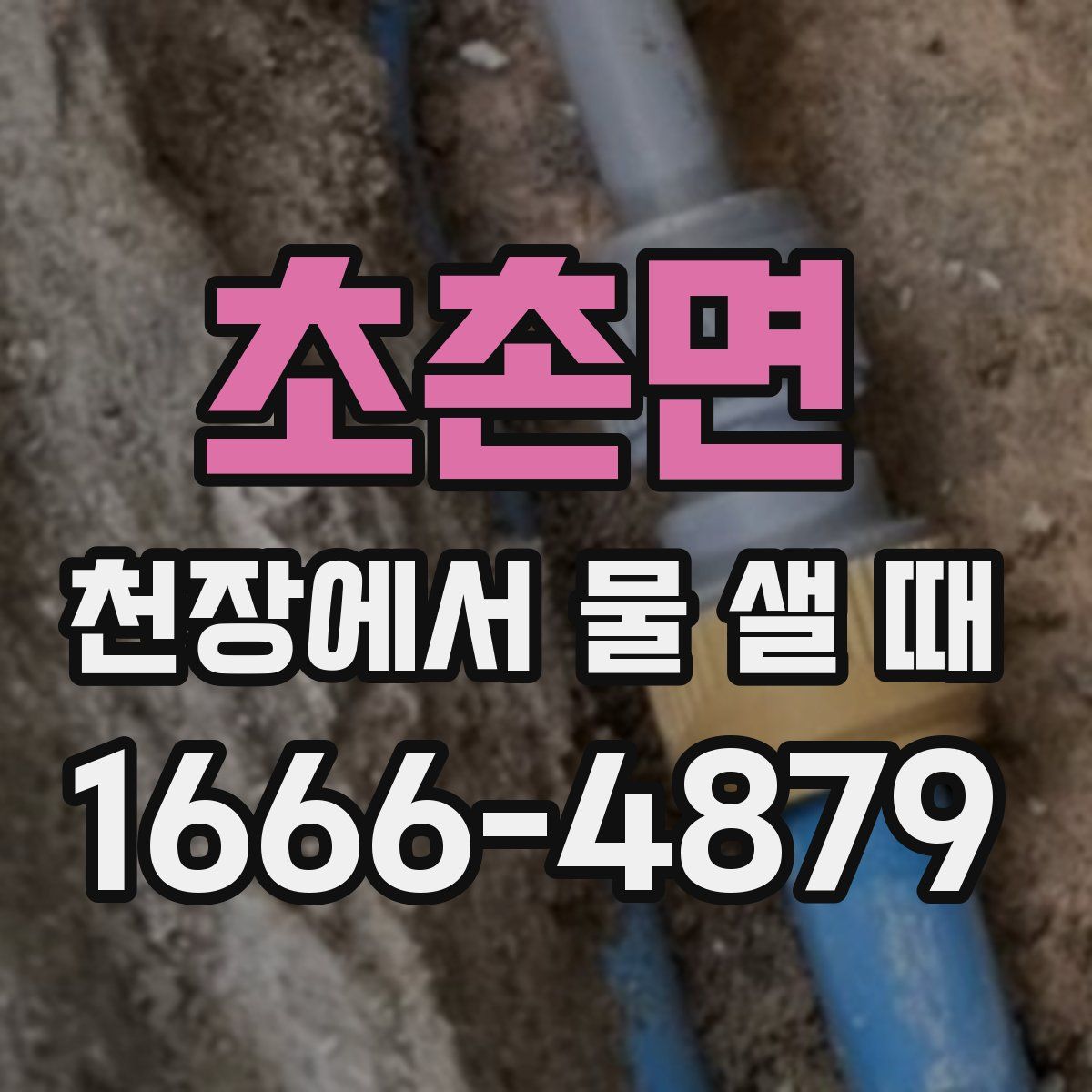 초촌면 천장에서 물 샐 때