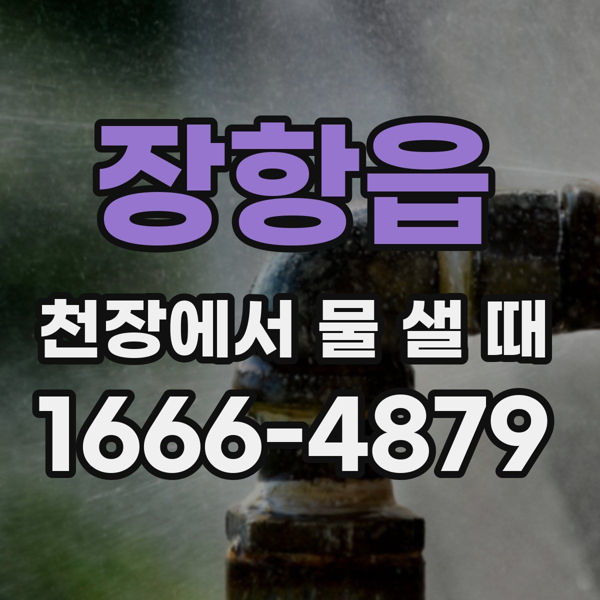 장항읍 천장에서 물 샐 때