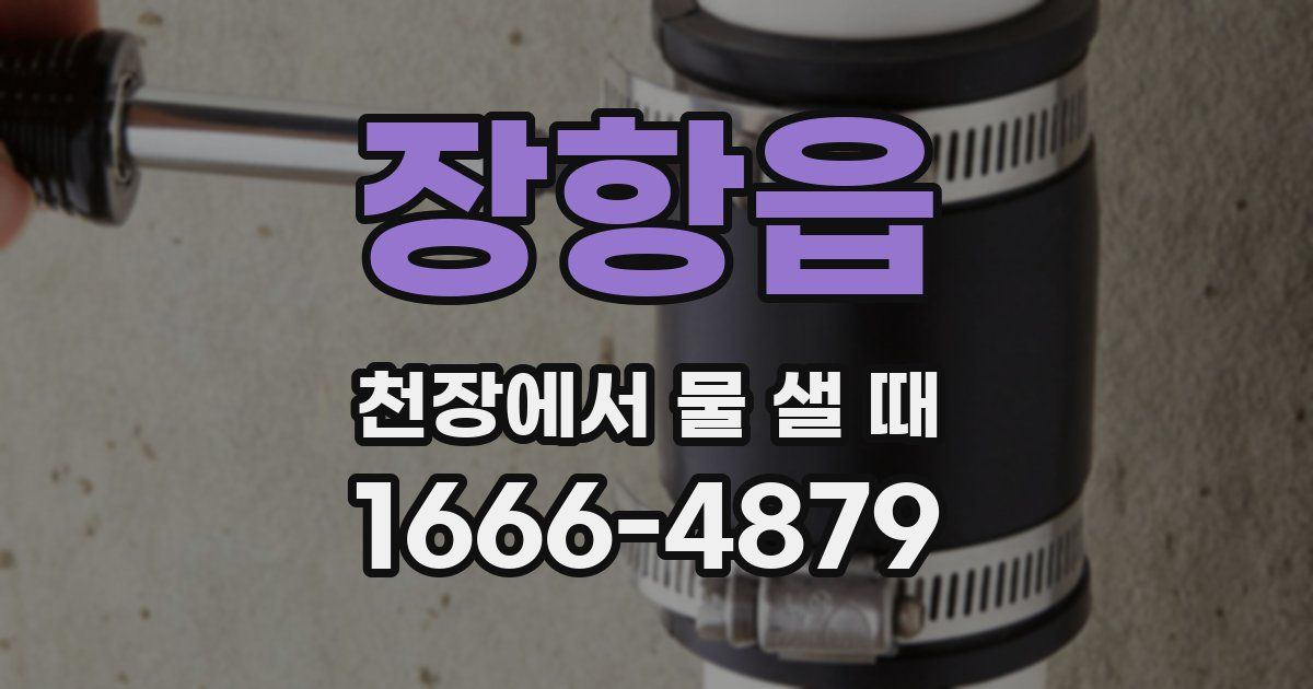 장항읍 천장에서 물 샐 때
