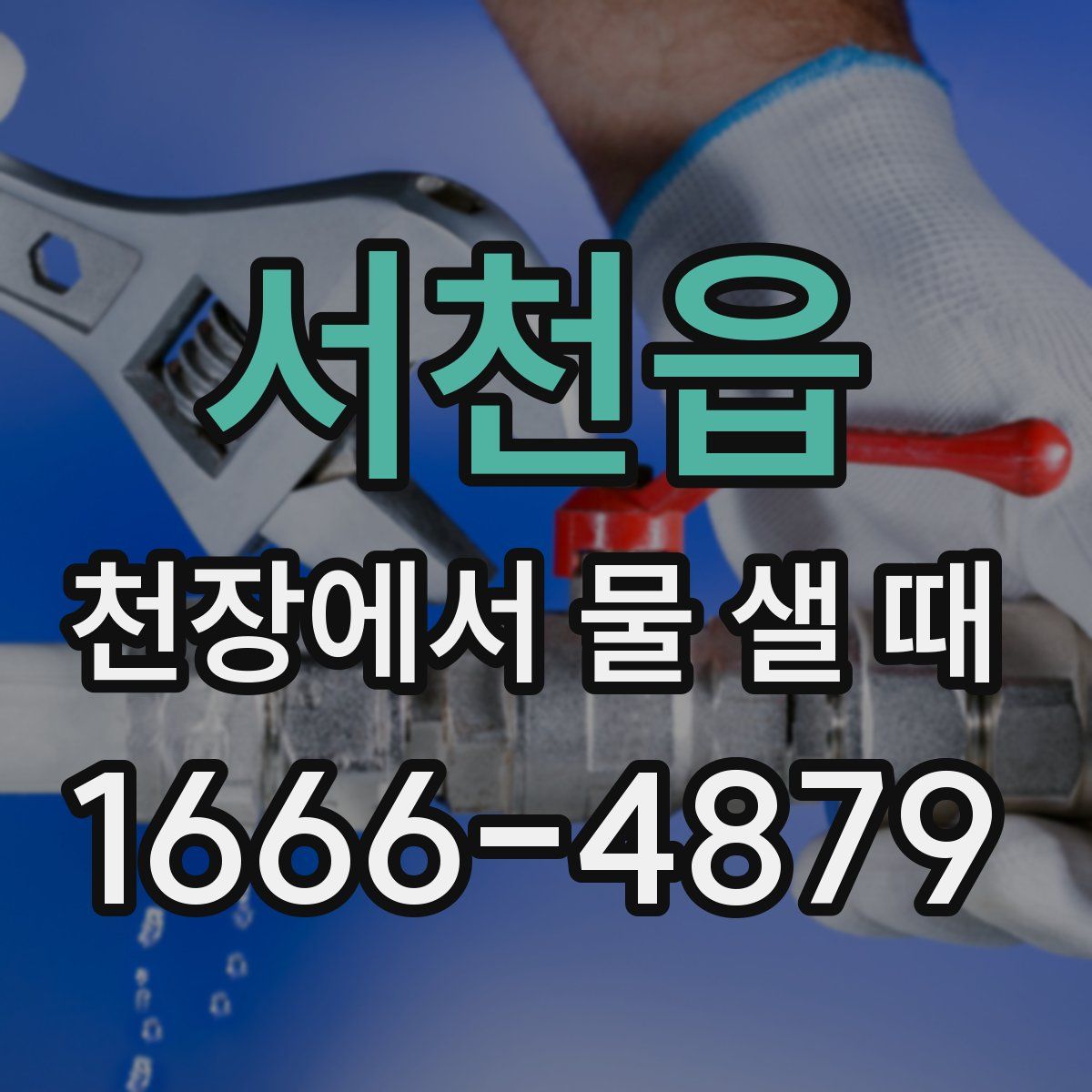 서천읍 천장에서 물 샐 때