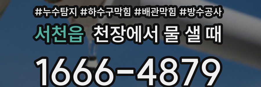 서천읍 천장에서 물 샐 때