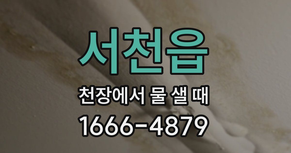 서천읍 천장에서 물 샐 때
