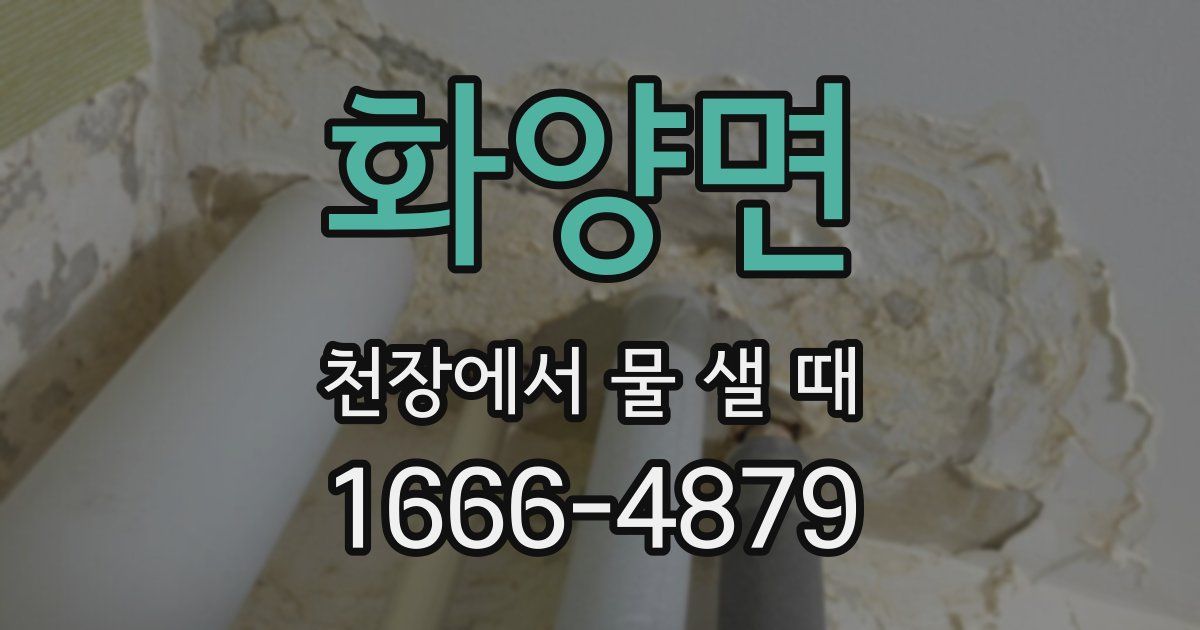 화양면 천장에서 물 샐 때
