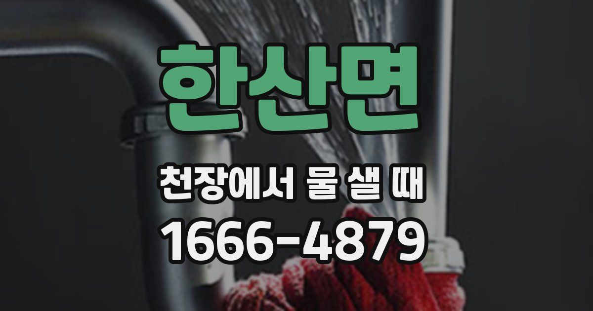 한산면 천장에서 물 샐 때