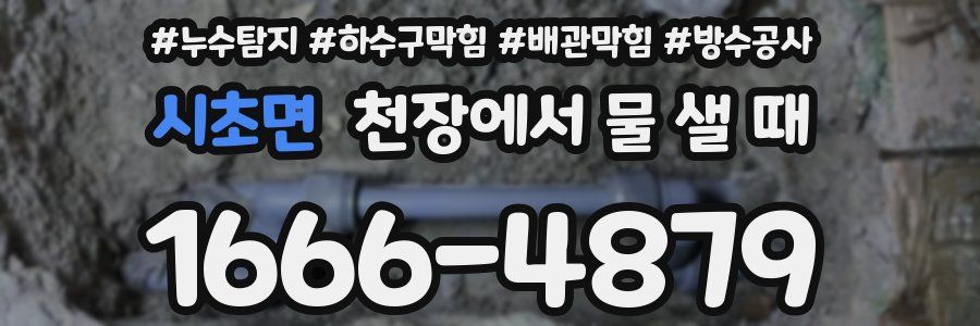 시초면 천장에서 물 샐 때