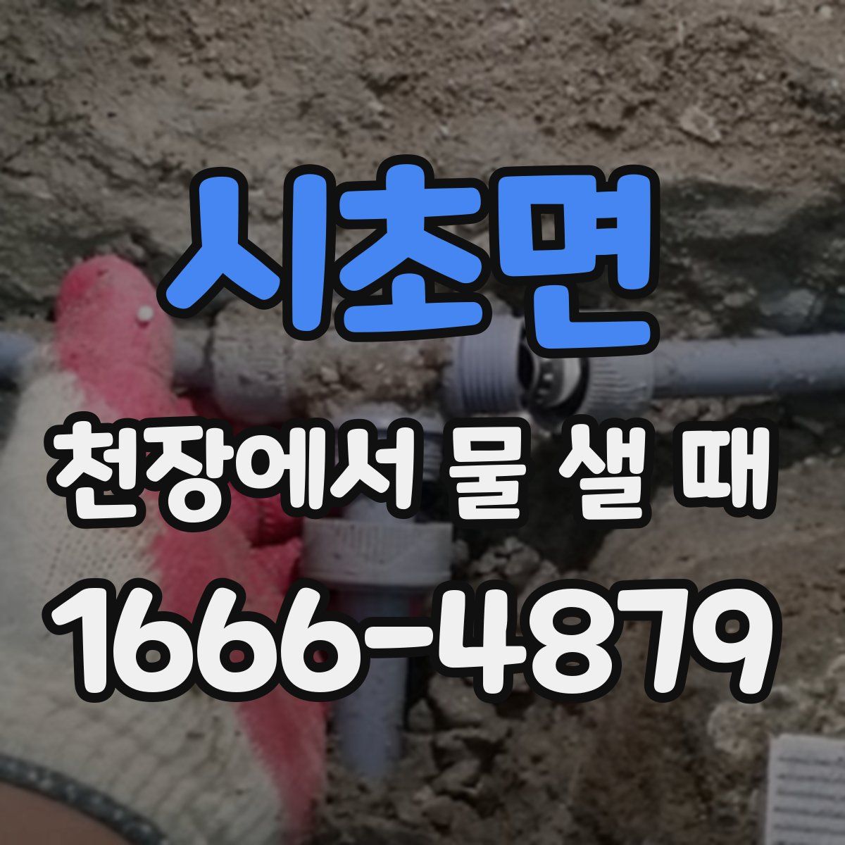 시초면 천장에서 물 샐 때