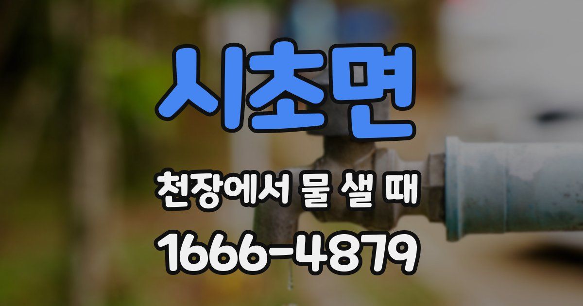 시초면 천장에서 물 샐 때
