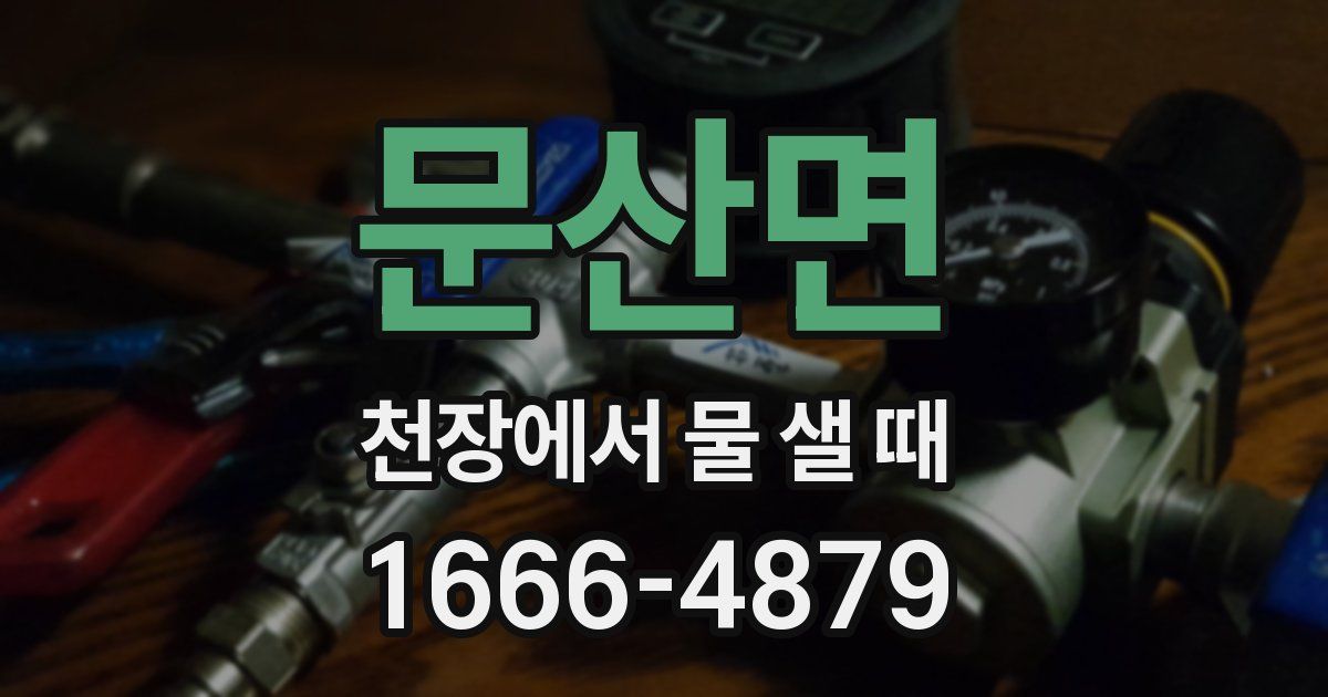 문산면 천장에서 물 샐 때