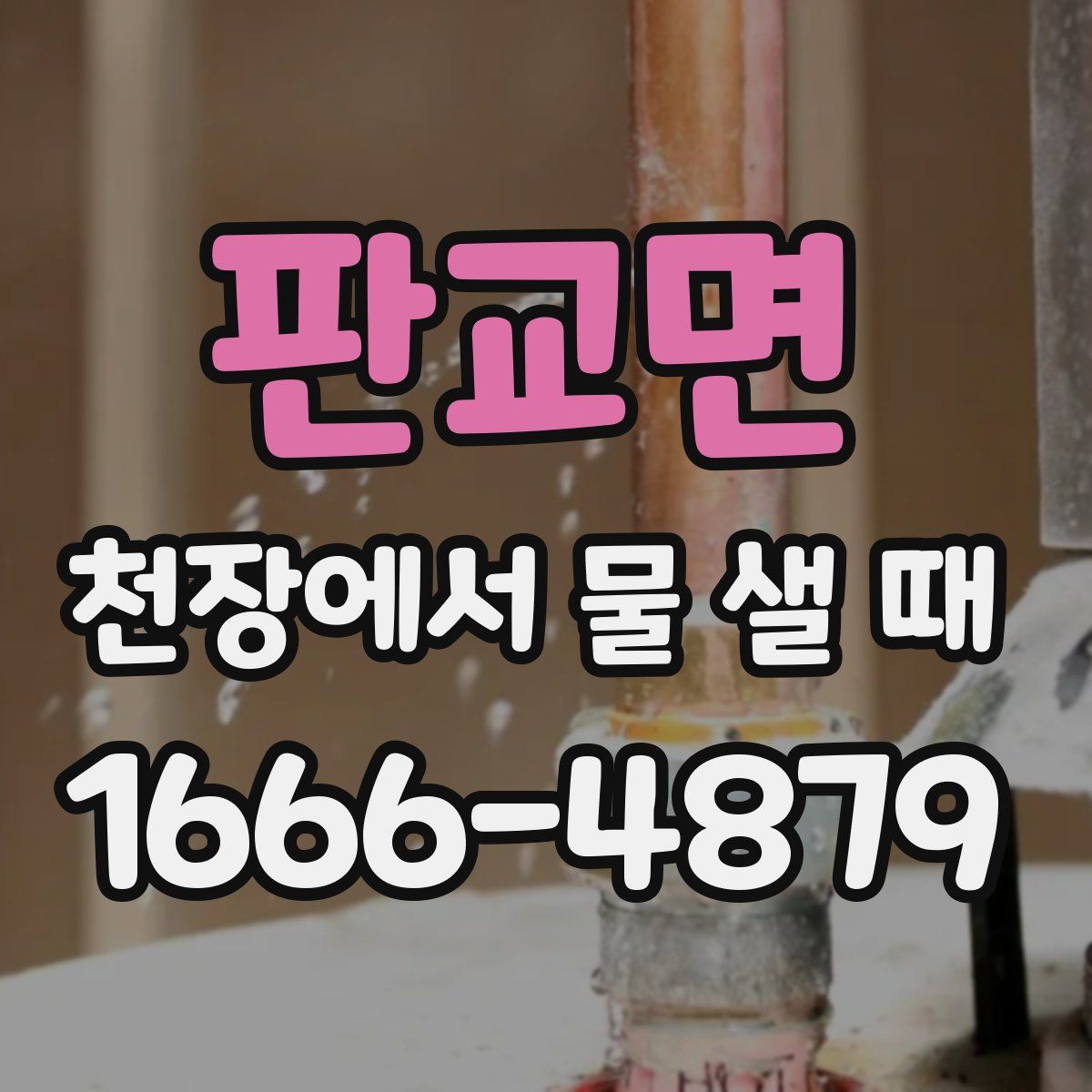 판교면 천장에서 물 샐 때