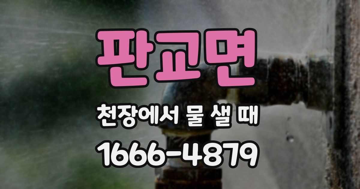 판교면 천장에서 물 샐 때