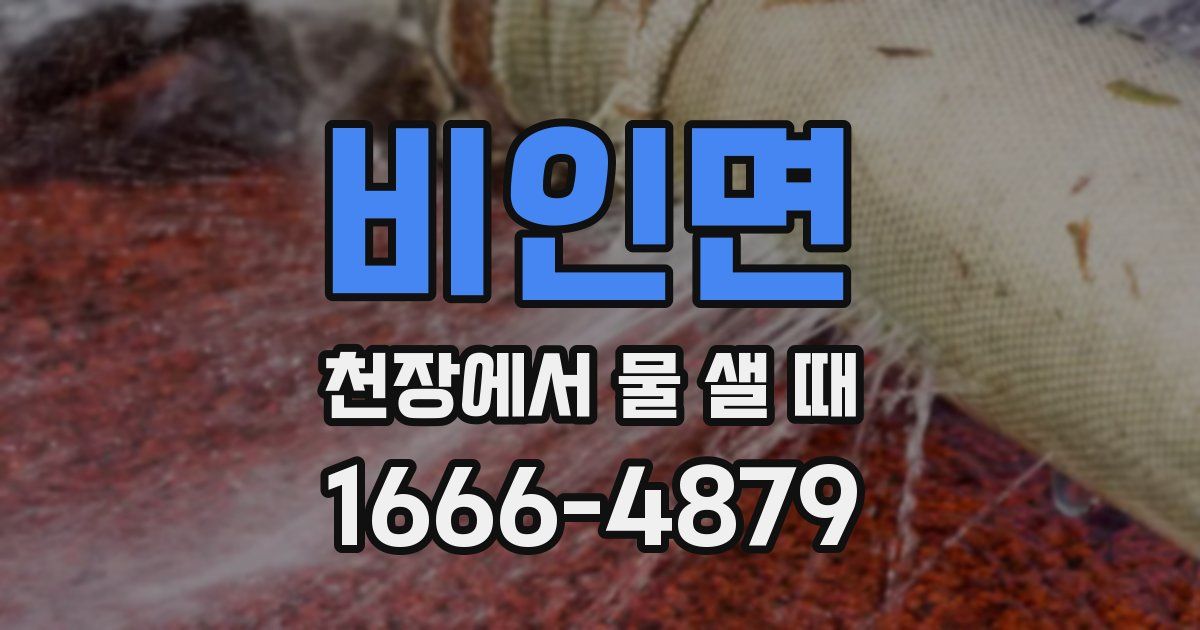 비인면 천장에서 물 샐 때