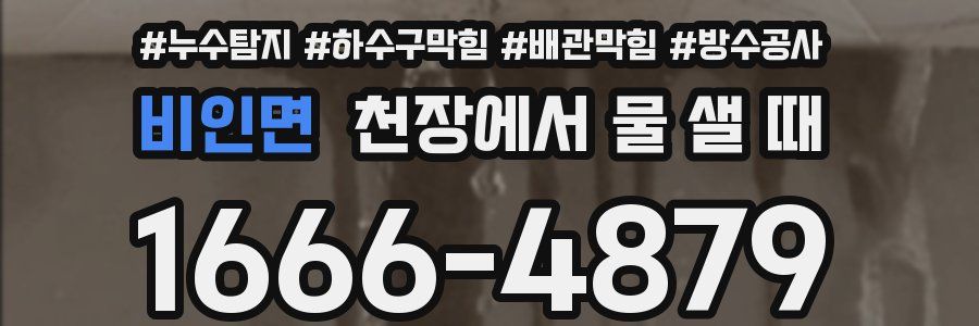 비인면 천장에서 물 샐 때