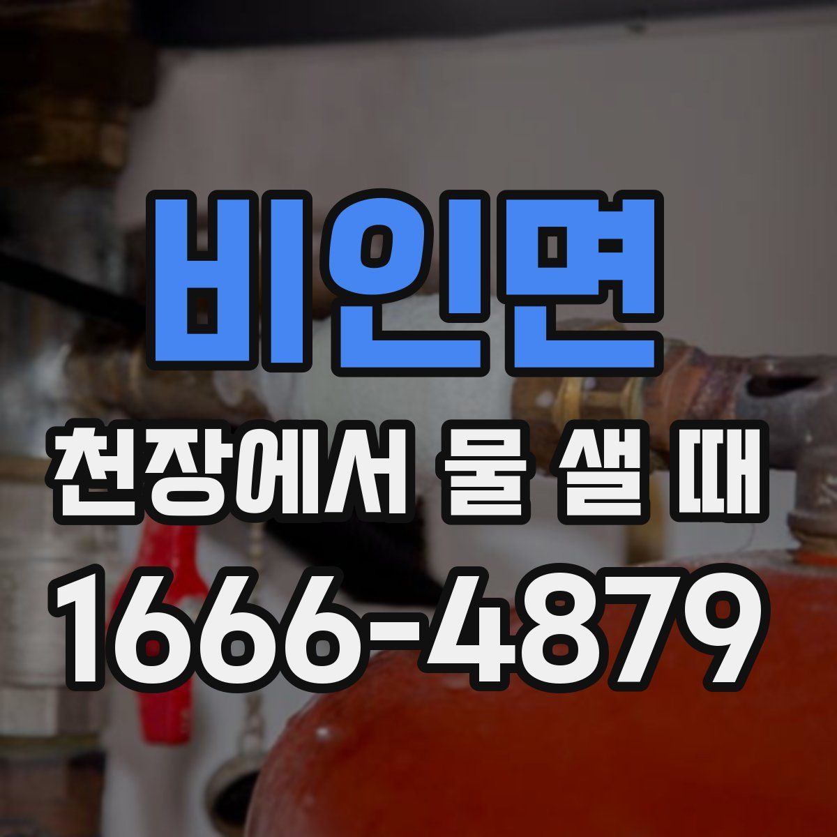 비인면 천장에서 물 샐 때