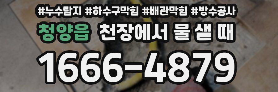 청양읍 천장에서 물 샐 때