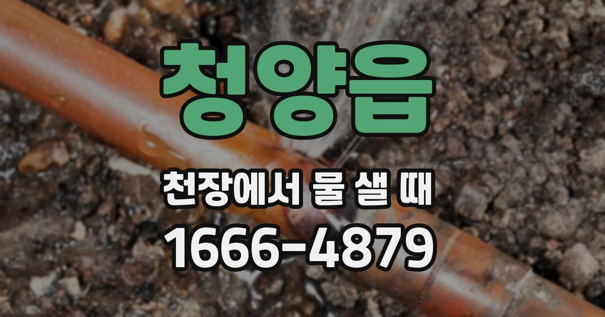 청양읍 천장에서 물 샐 때