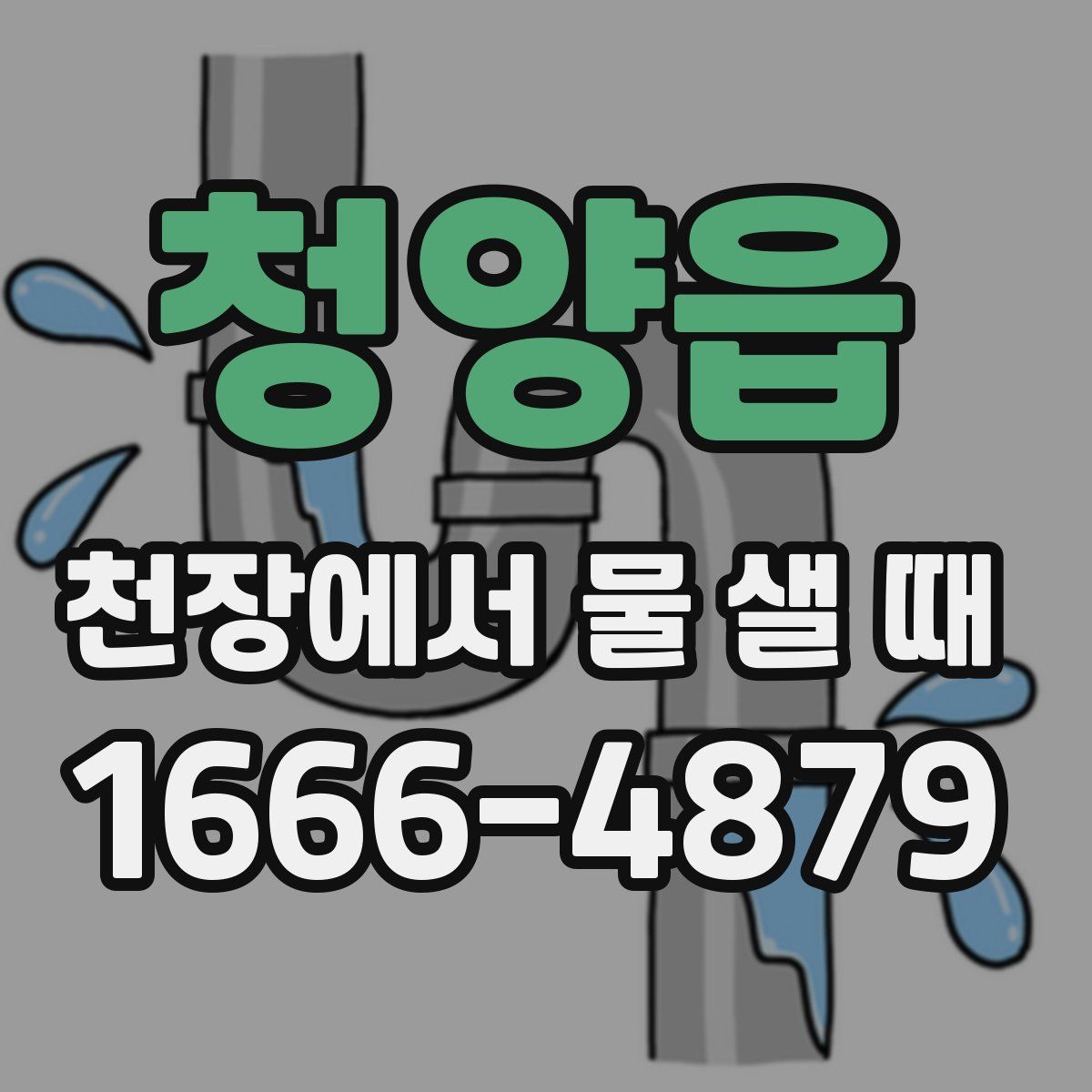 청양읍 천장에서 물 샐 때