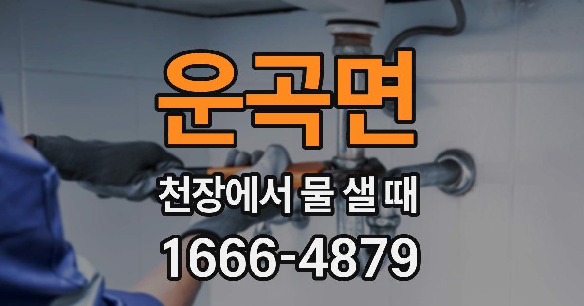 운곡면 천장에서 물 샐 때