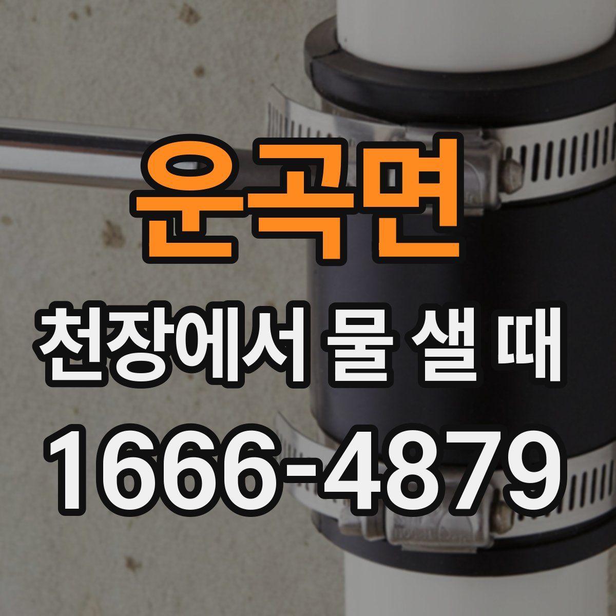 운곡면 천장에서 물 샐 때