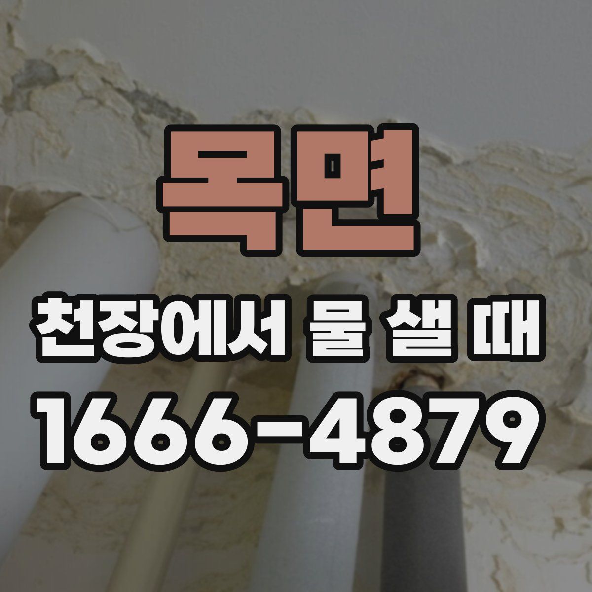 목면 천장에서 물 샐 때