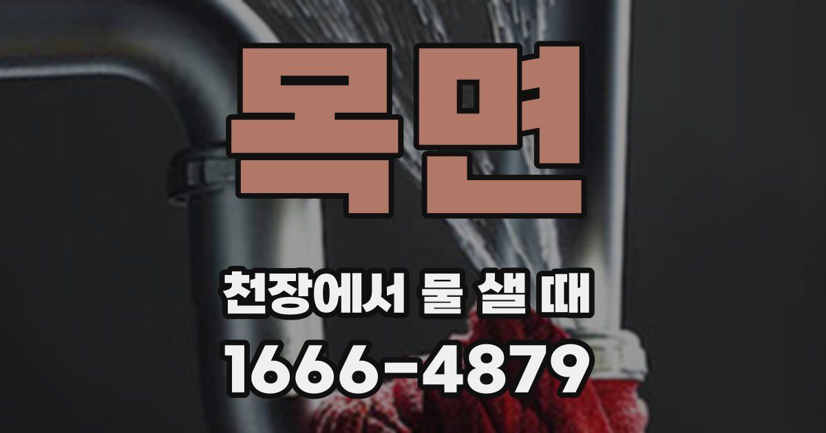 목면 천장에서 물 샐 때