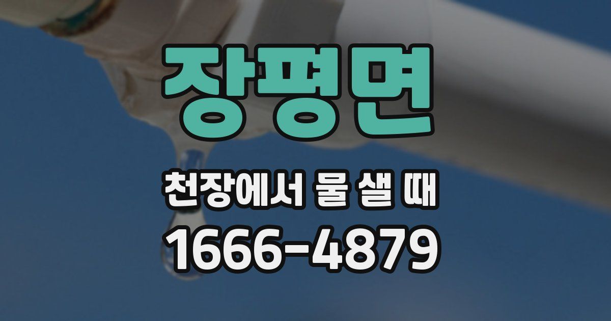 장평면 천장에서 물 샐 때