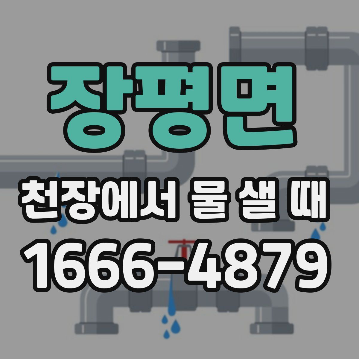 장평면 천장에서 물 샐 때