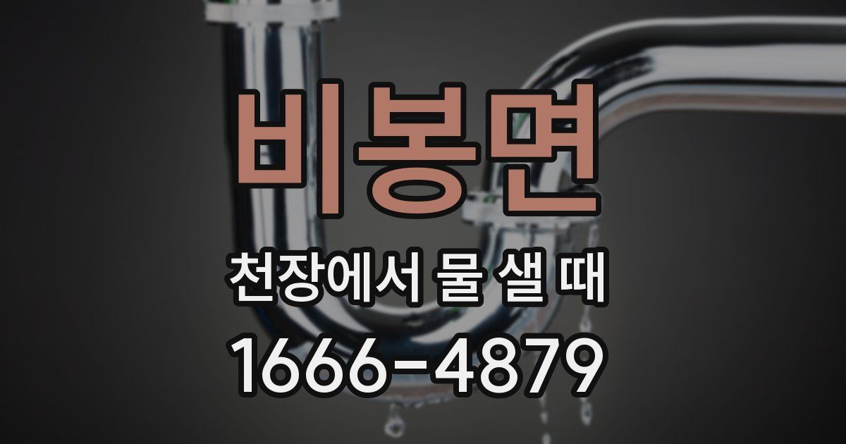 비봉면 천장에서 물 샐 때