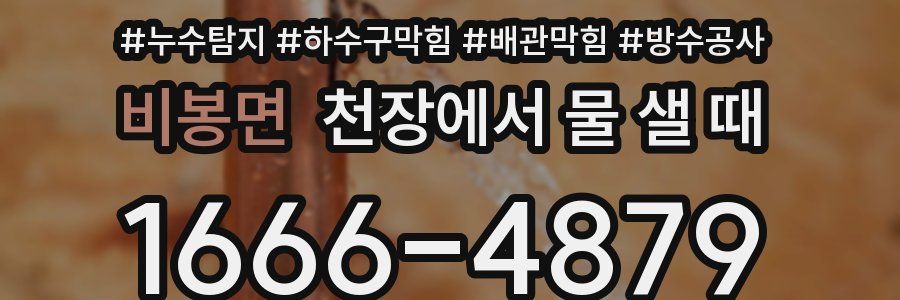 비봉면 천장에서 물 샐 때