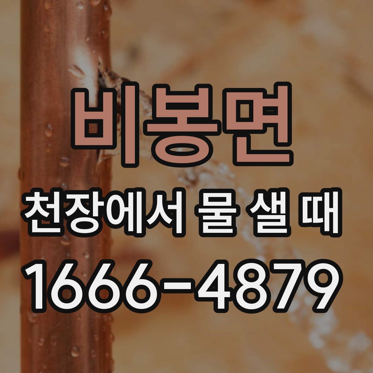 비봉면 천장에서 물 샐 때