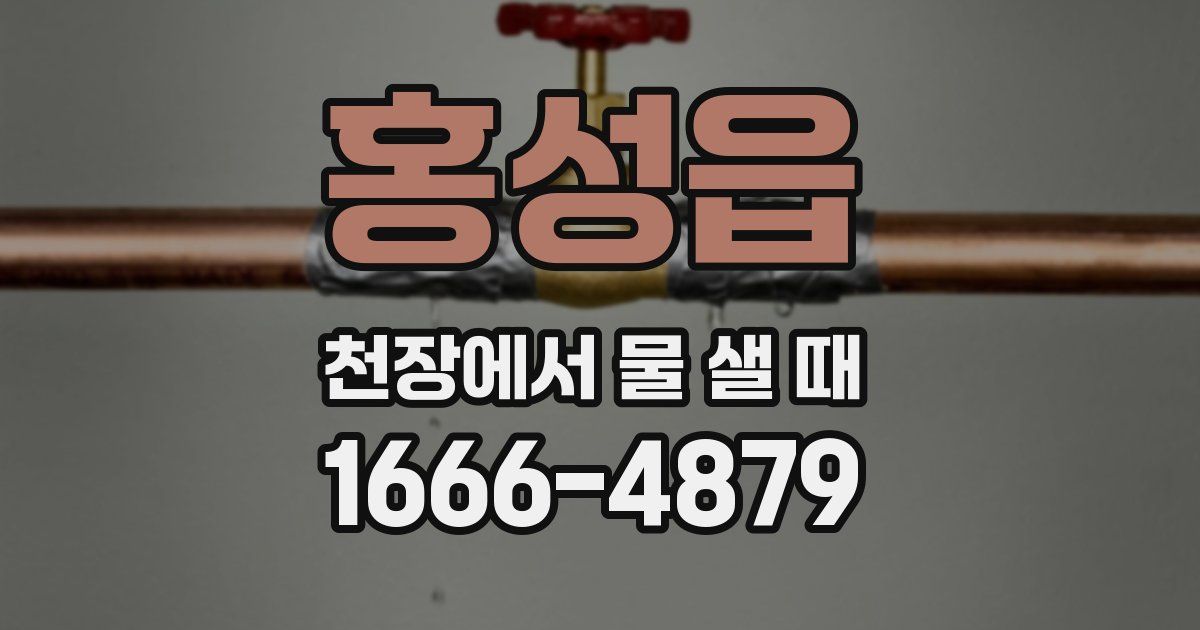 홍성읍 천장에서 물 샐 때