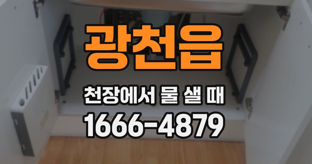 광천읍 천장에서 물 샐 때