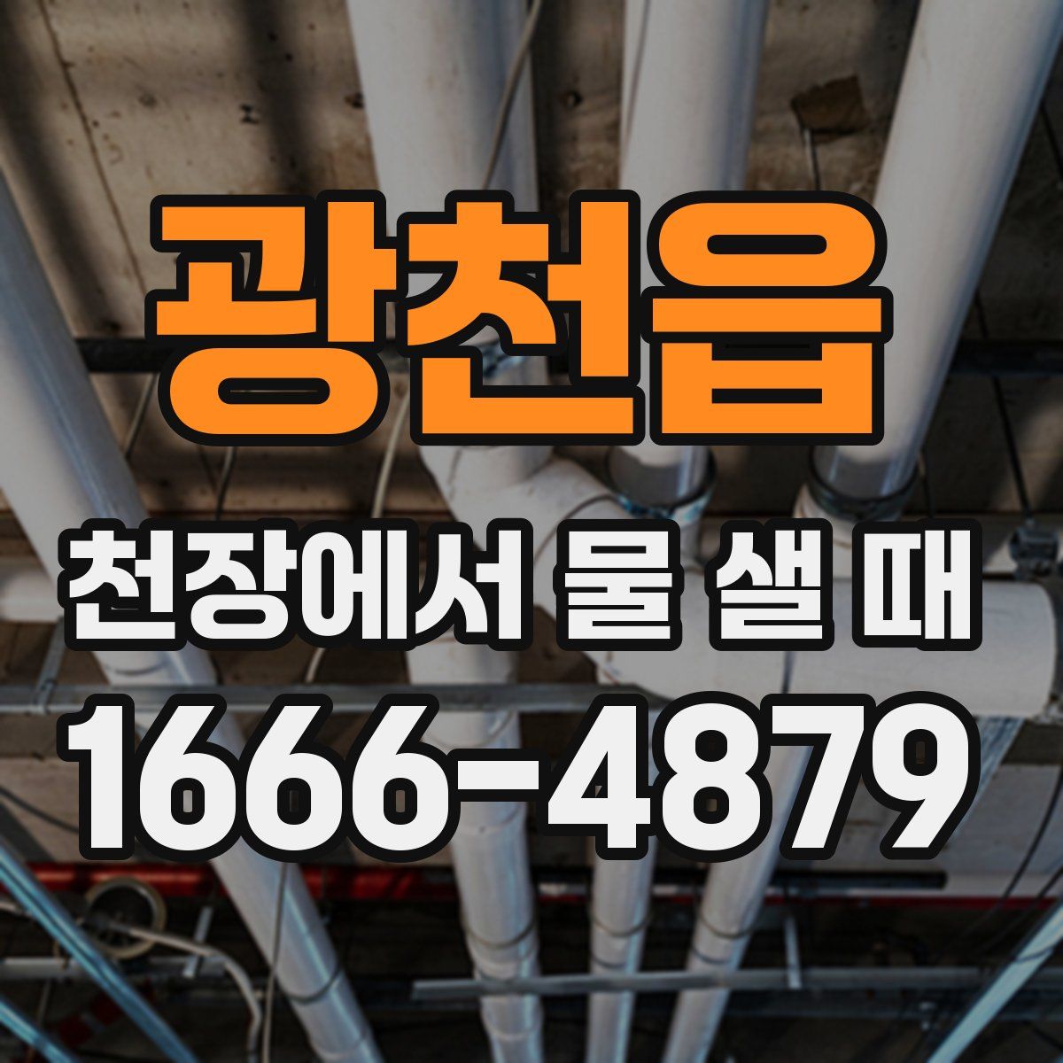 광천읍 천장에서 물 샐 때