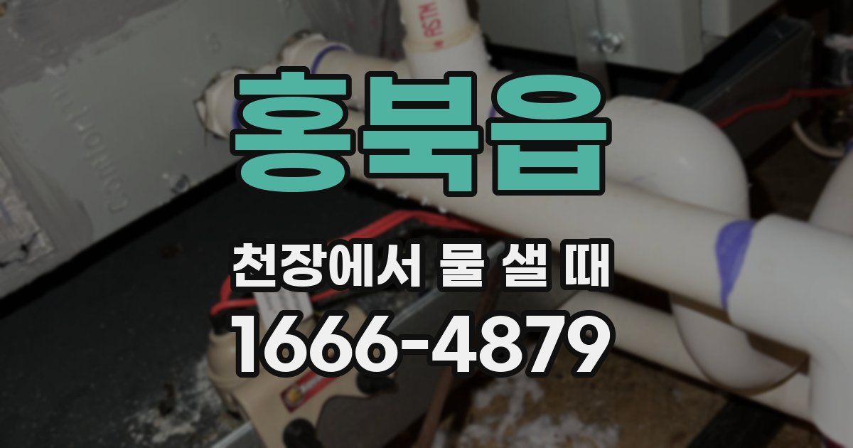홍북읍 천장에서 물 샐 때