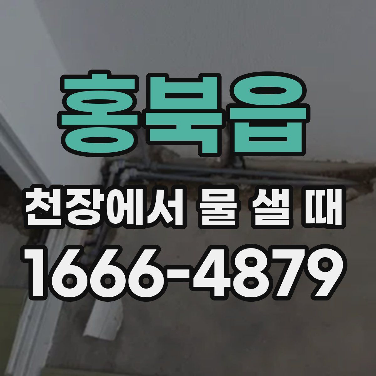 홍북읍 천장에서 물 샐 때