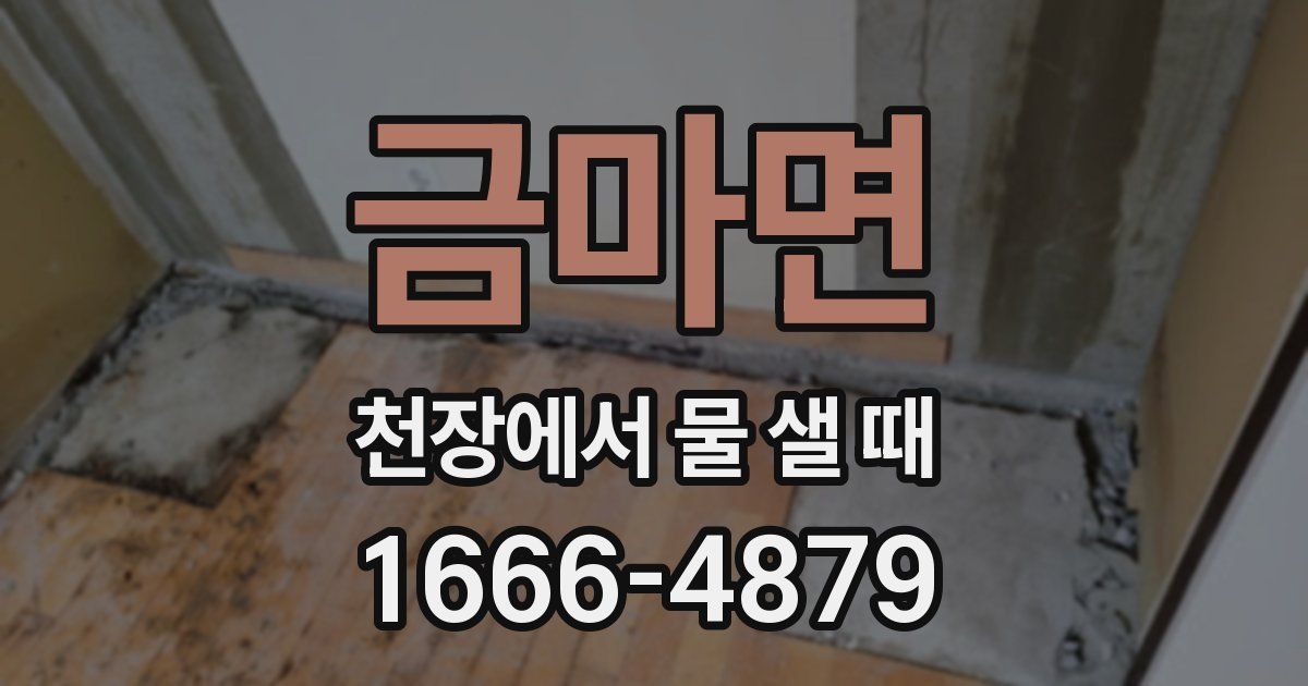 금마면 천장에서 물 샐 때