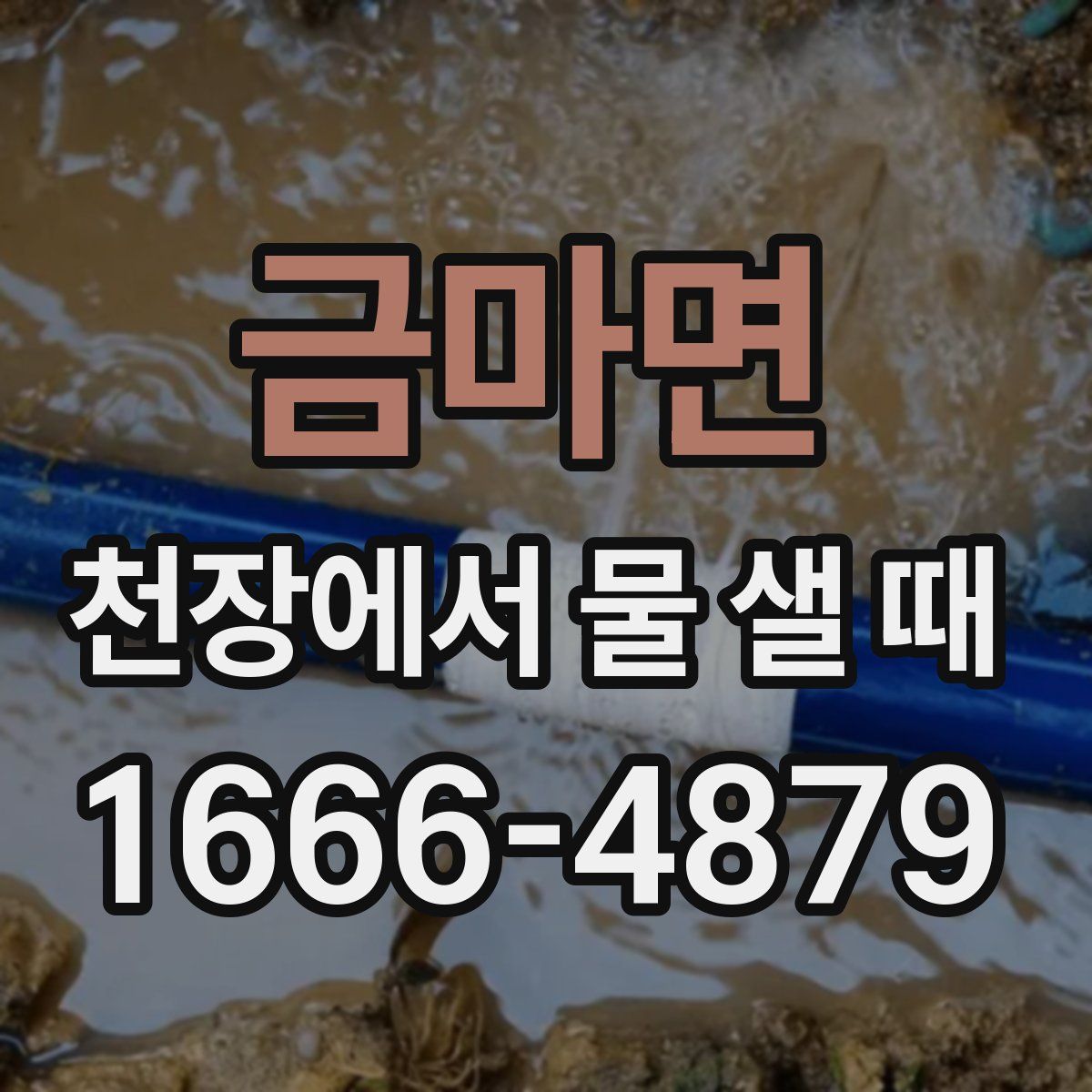 금마면 천장에서 물 샐 때