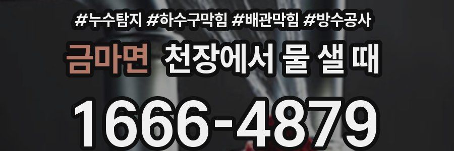 금마면 천장에서 물 샐 때
