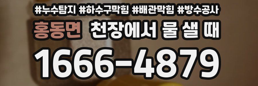 홍동면 천장에서 물 샐 때