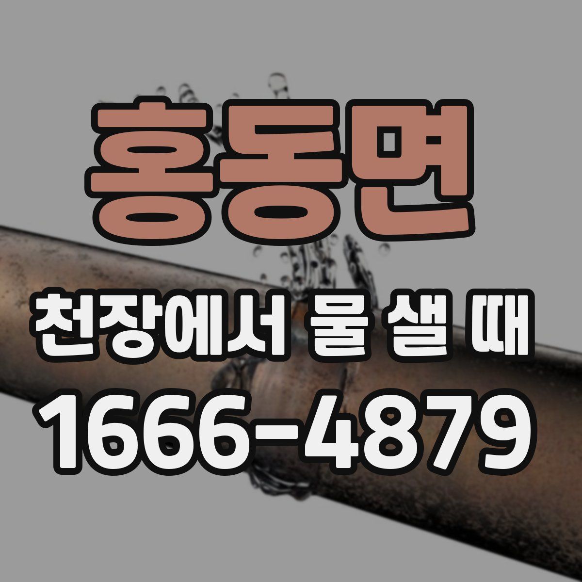 홍동면 천장에서 물 샐 때