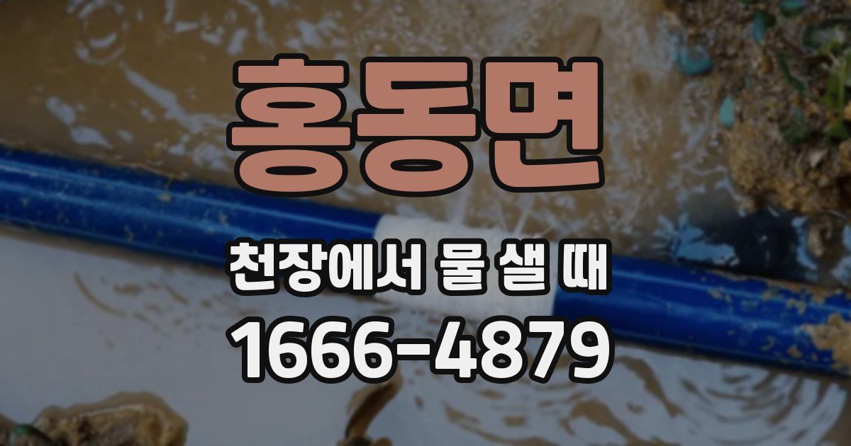 홍동면 천장에서 물 샐 때