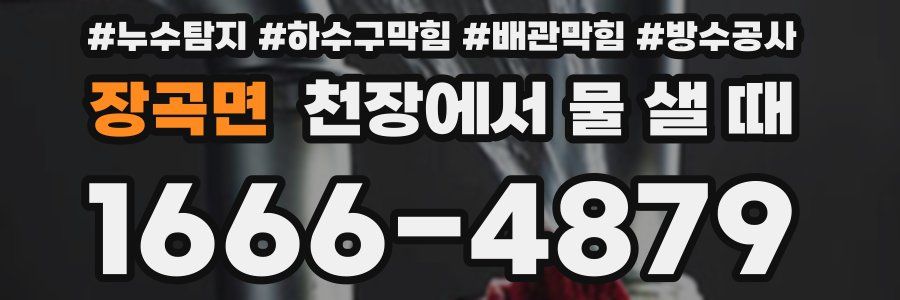 장곡면 천장에서 물 샐 때