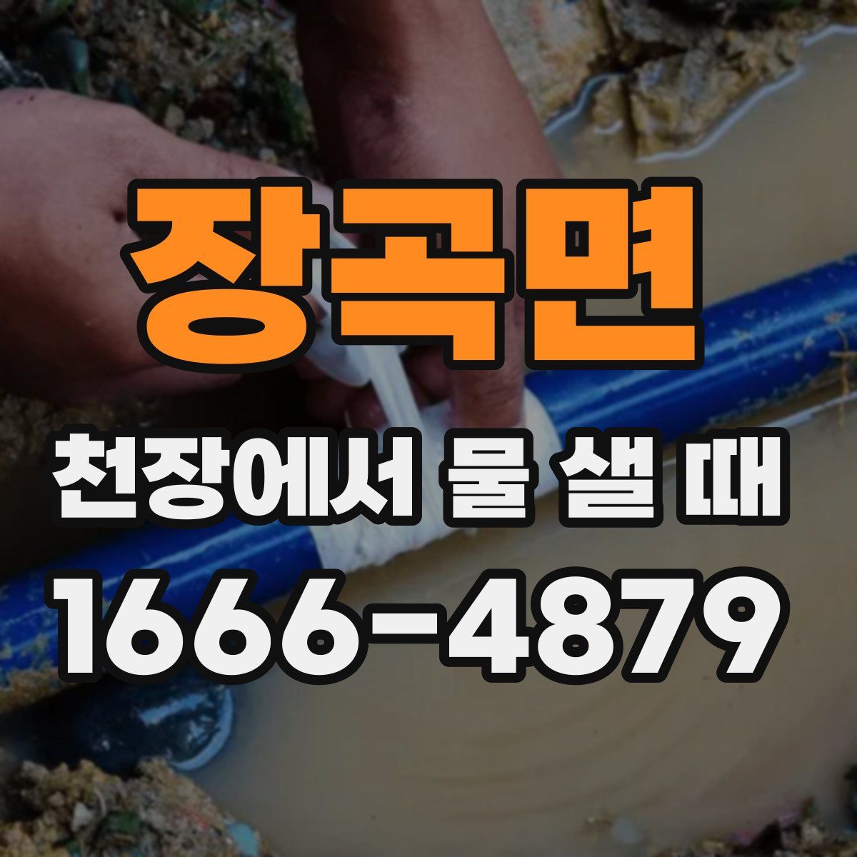 장곡면 천장에서 물 샐 때