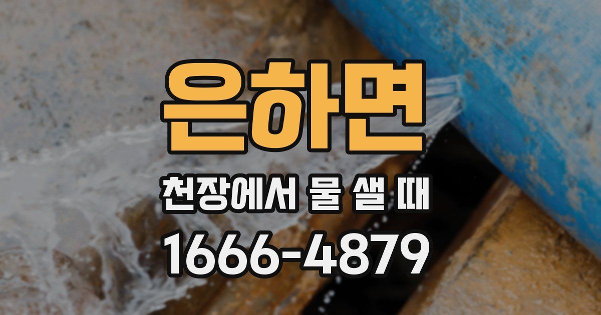 은하면 천장에서 물 샐 때