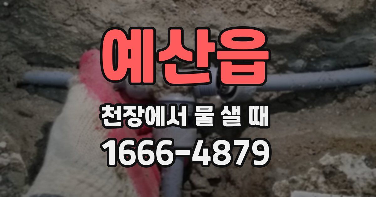 예산읍 천장에서 물 샐 때