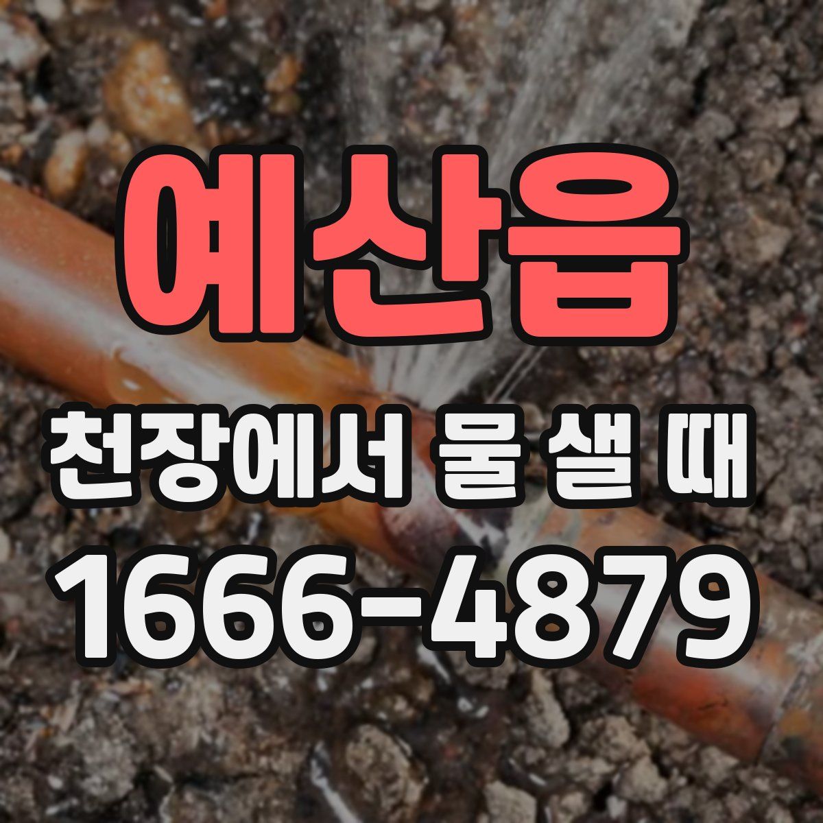 예산읍 천장에서 물 샐 때