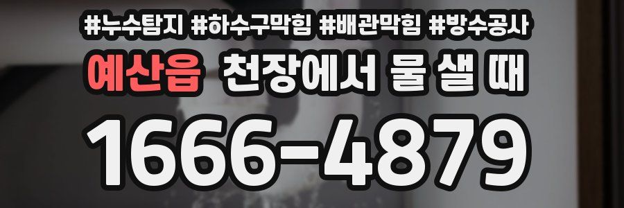 예산읍 천장에서 물 샐 때