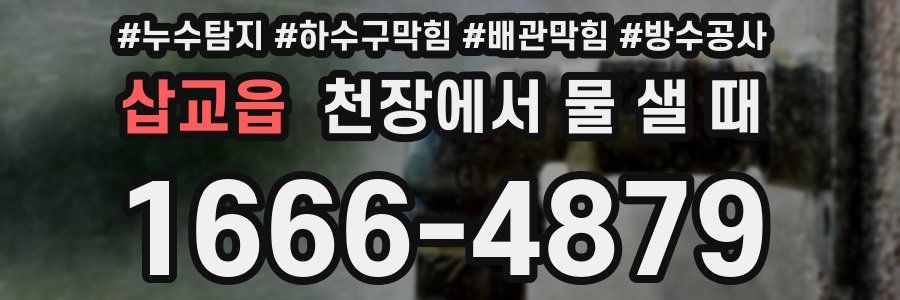 삽교읍 천장에서 물 샐 때