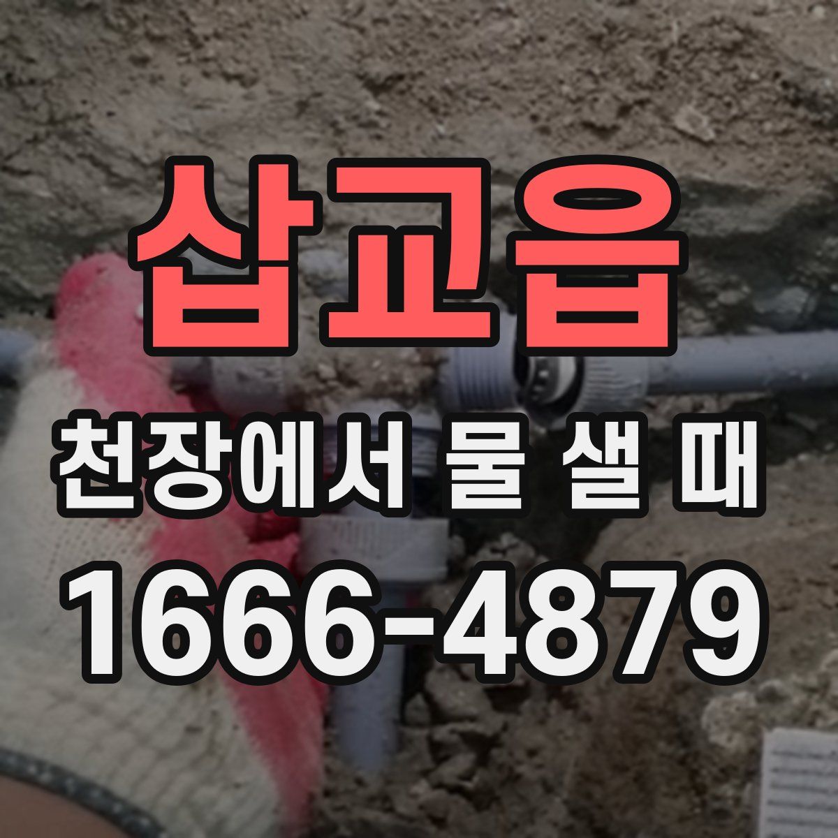 삽교읍 천장에서 물 샐 때
