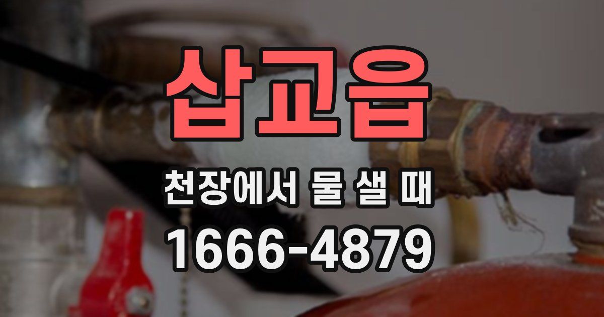 삽교읍 천장에서 물 샐 때